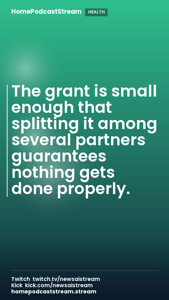 The grant is small enough that splitting it among several partners guarantees nothing gets done properly.