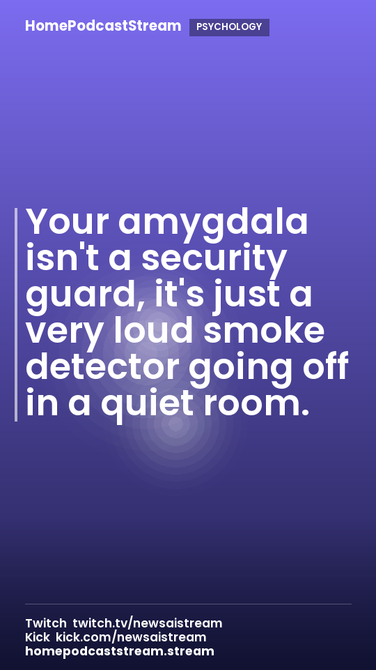 Your amygdala isn't a security guard, it's just a very loud smoke detector going off in a quiet room.